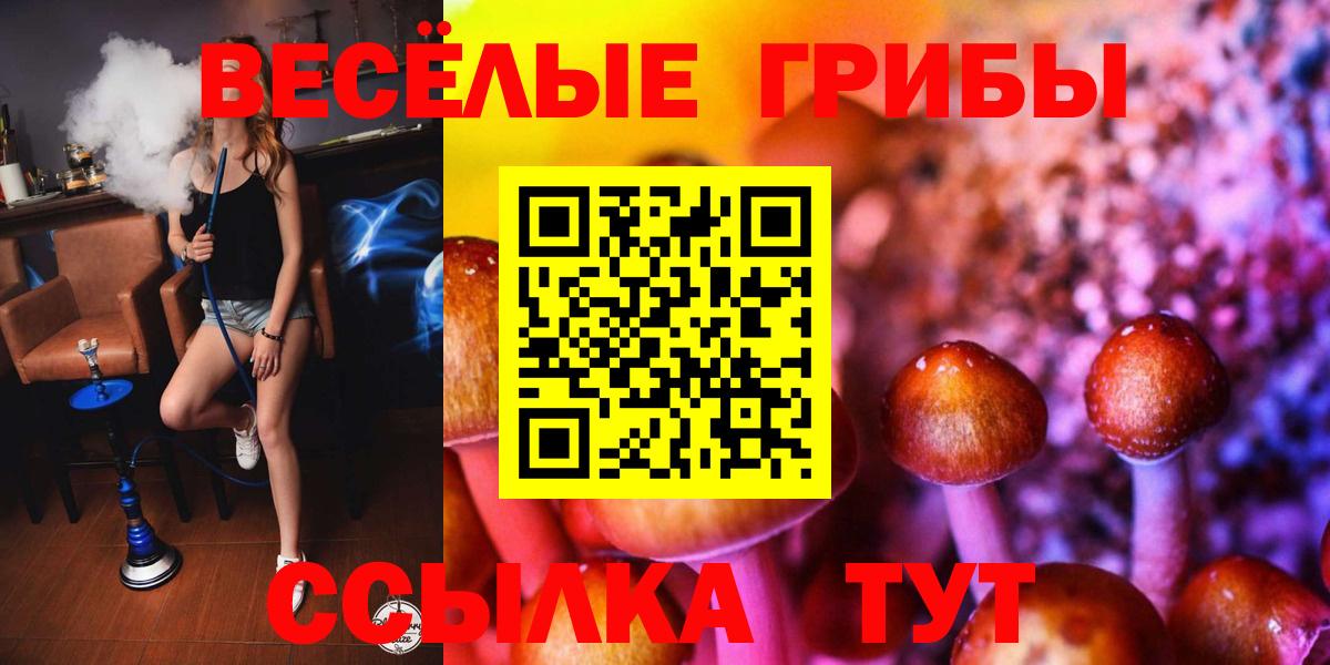 Псилоцибиновые грибы Magic Shrooms  Вход с VPN  Гуково  Галлюциногенные грибы ЛСД 