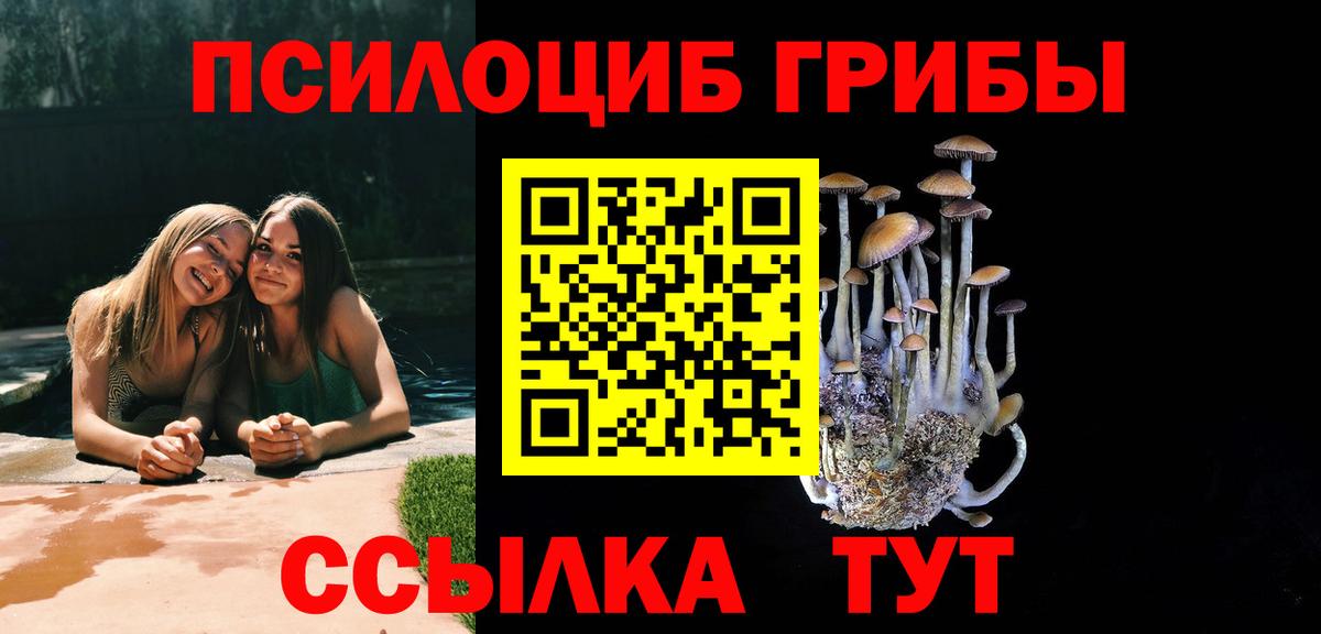 Псилоцибиновые грибы Psilocybe Гуково